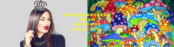 кристаллы Абаза